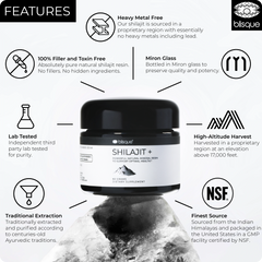 features of shilajit