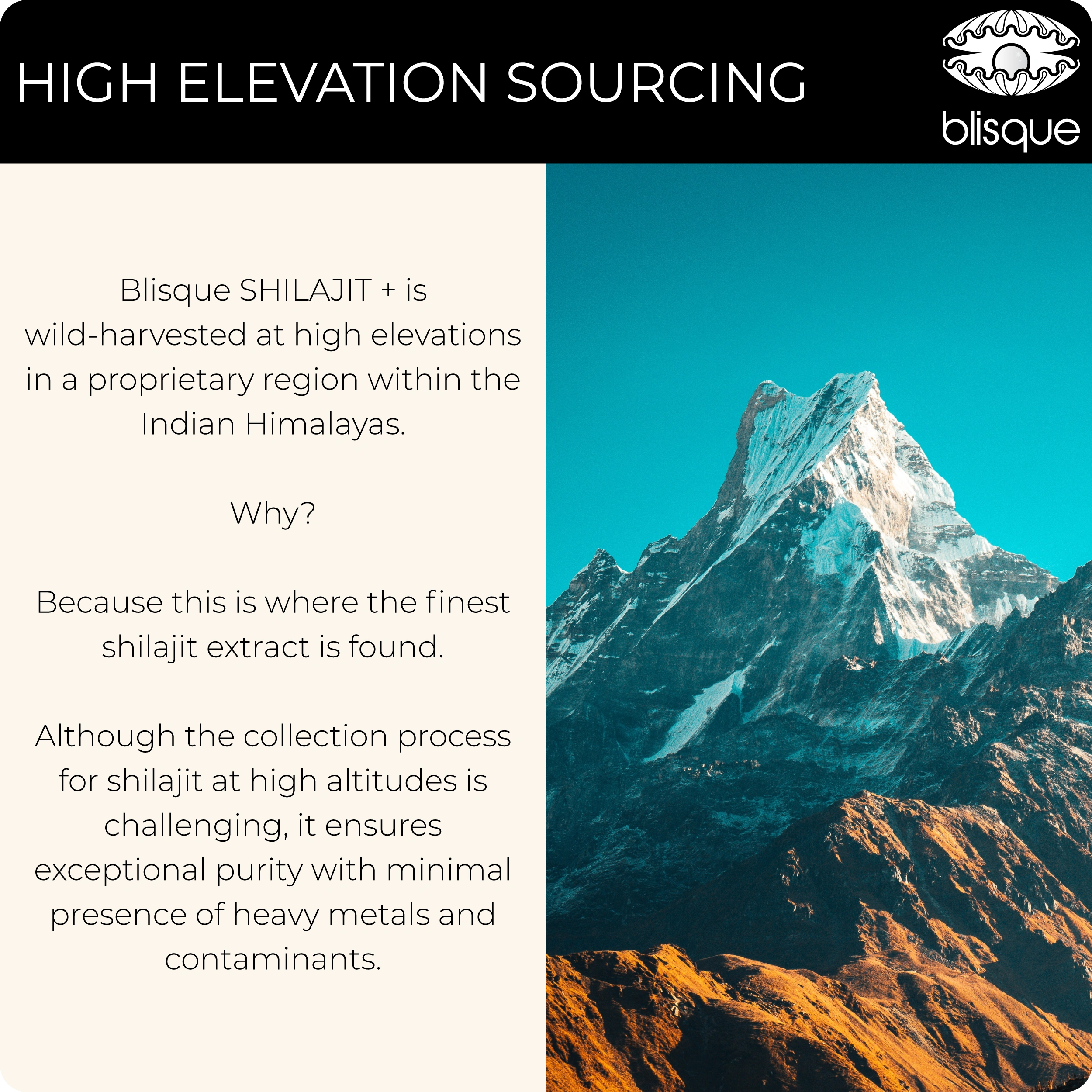 SHILAJIT + Powder