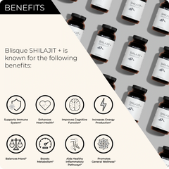 SHILAJIT + Powder