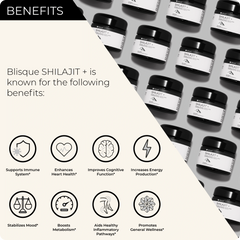 benefits of shilajit
