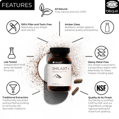 shilajit resin features