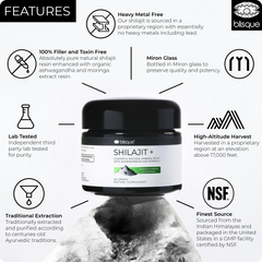 Shilajit Features