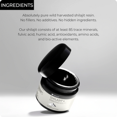 shilajit resin ingredients