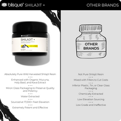SHILAJIT + Mood Support