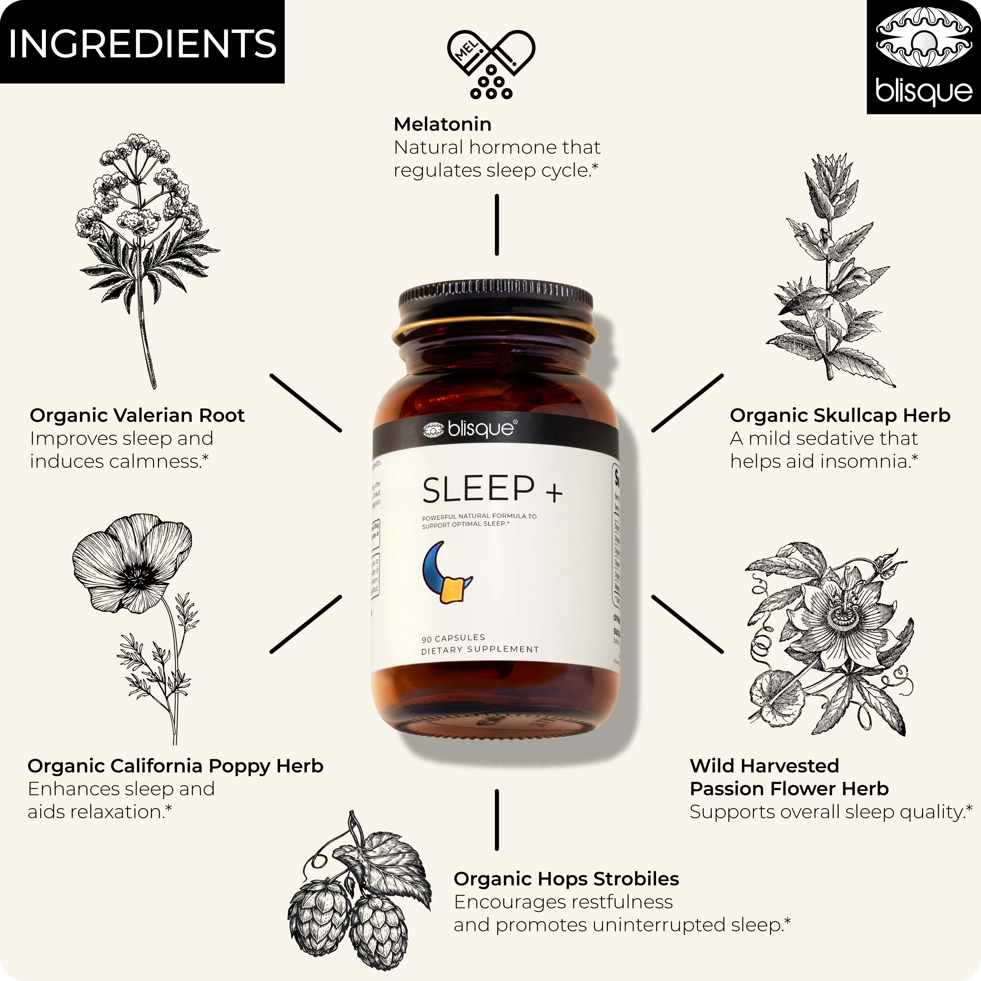SLEEP Ingredients
