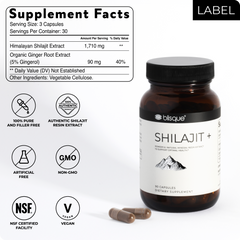 shilajit resin capsules
