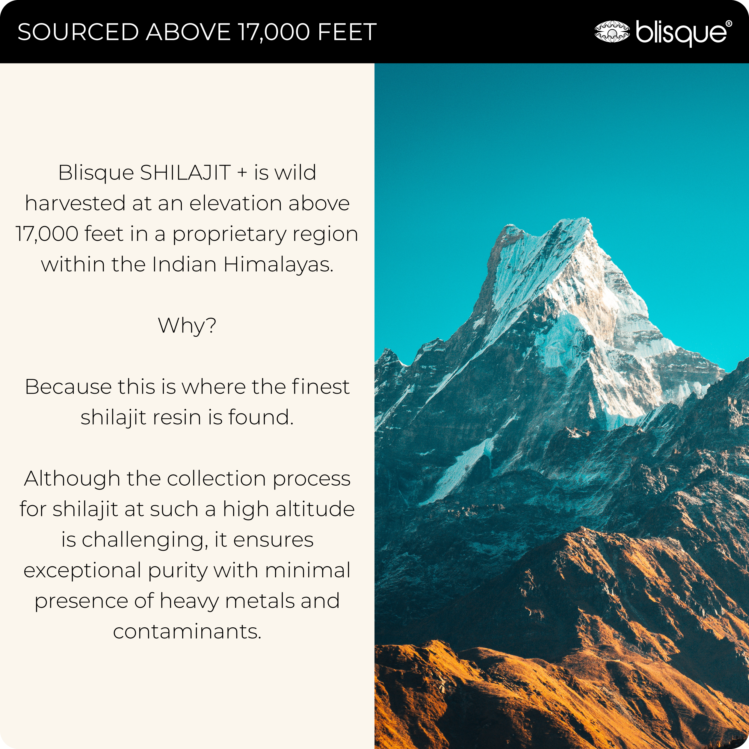 SHILAJIT + ASHWAGANDHA/MORINGA (Copy for test)