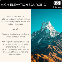 SHILAJIT + Powder