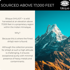 himalayan shilajit