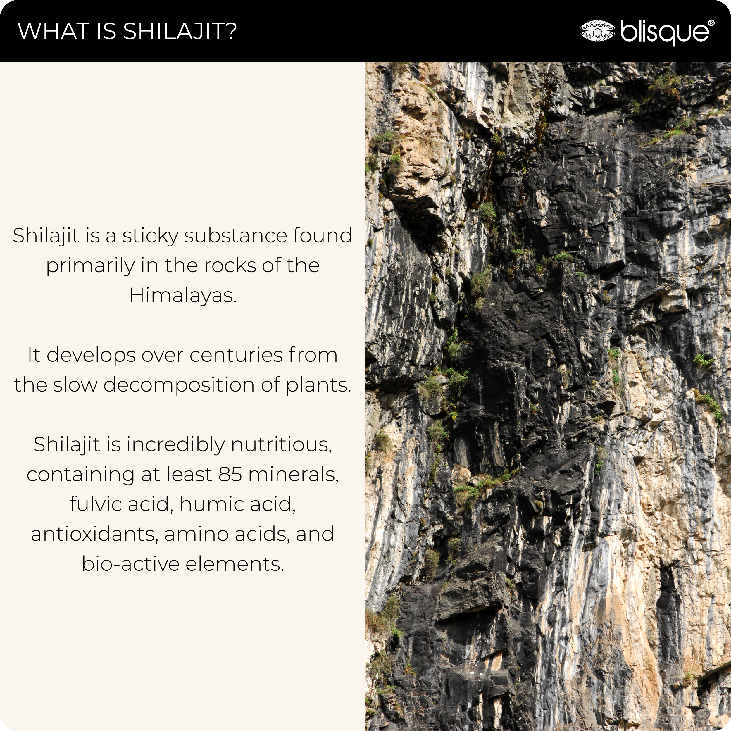 SHILAJIT + ASHWAGANDHA/MORINGA (Copy for test)