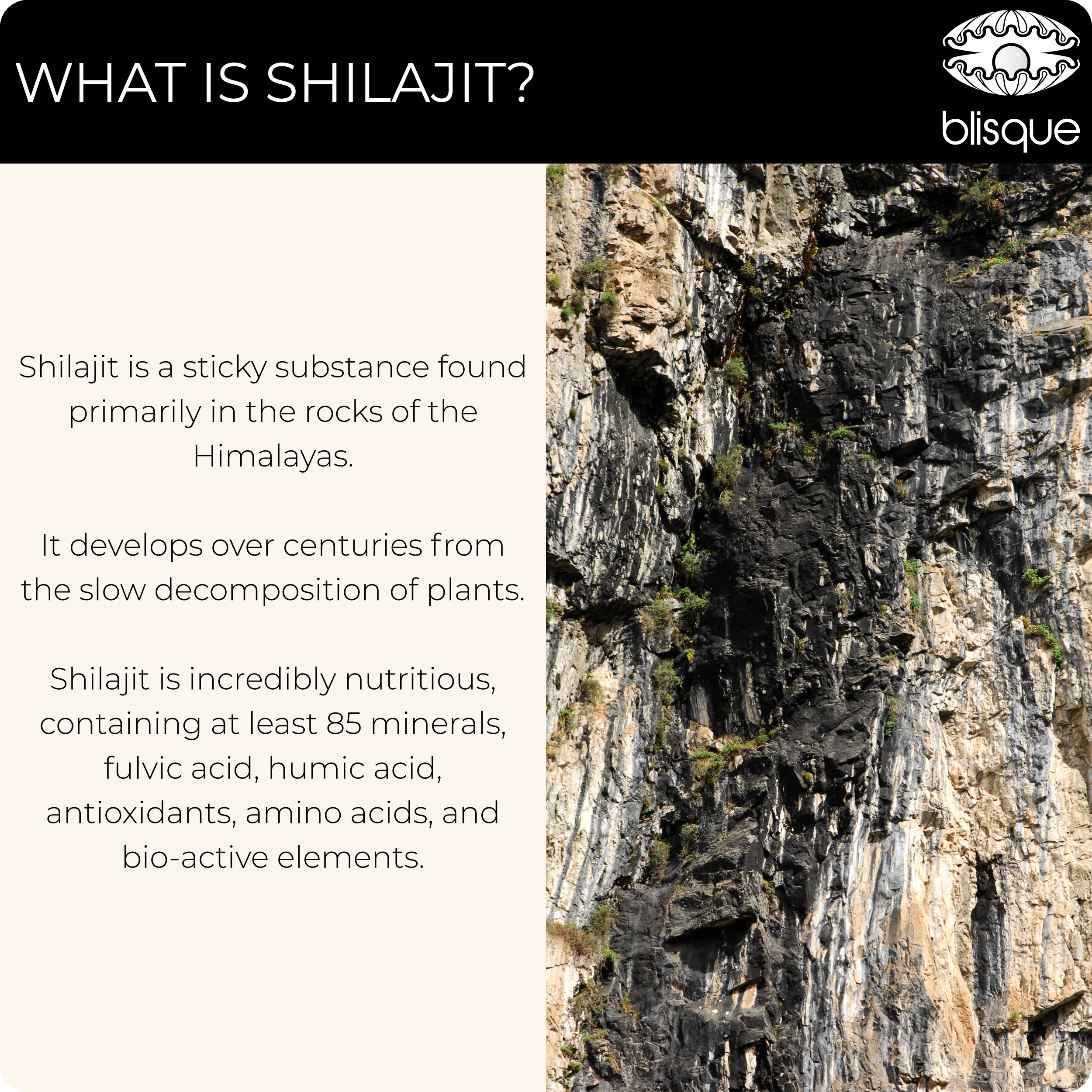 what is shilajit