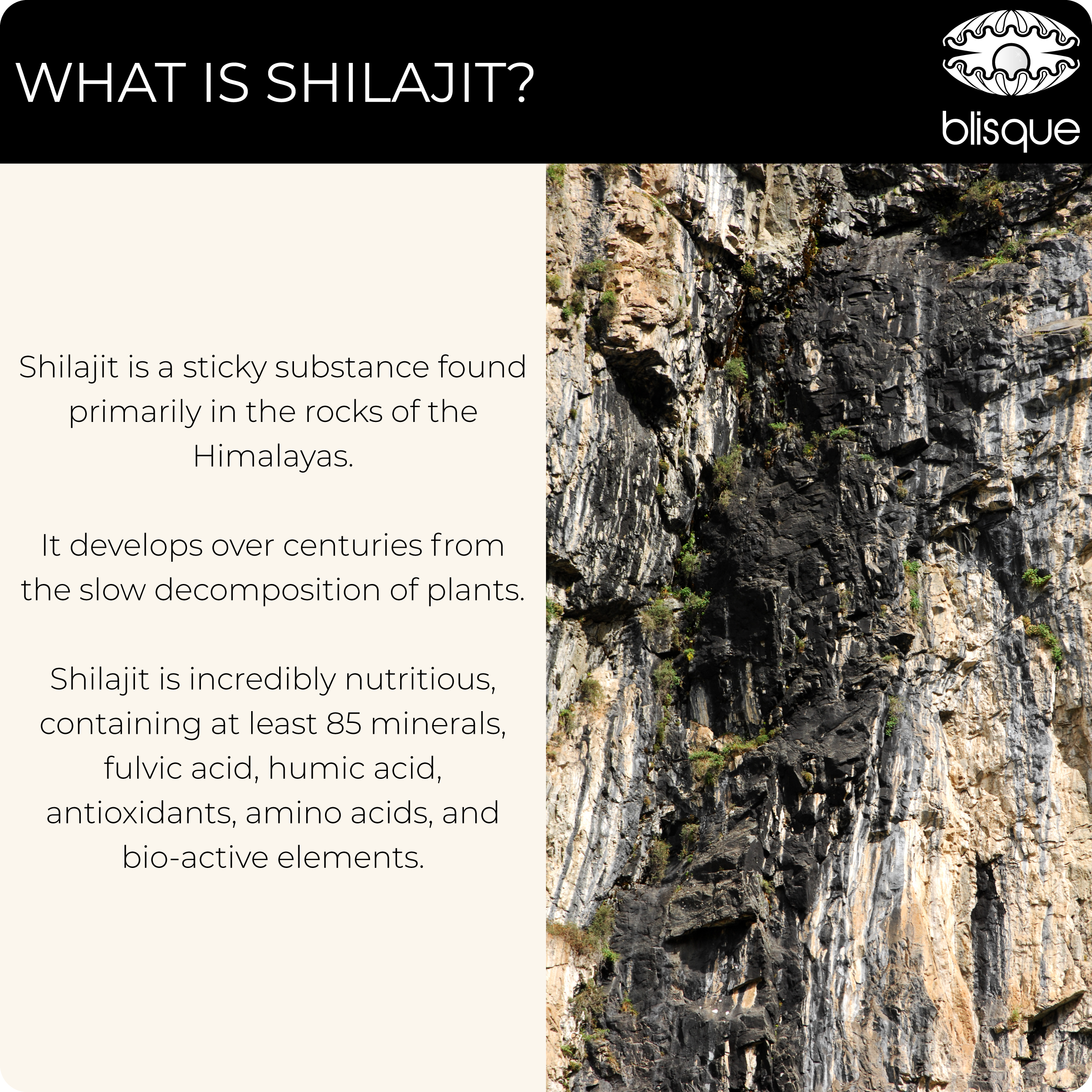 What is Shilajit