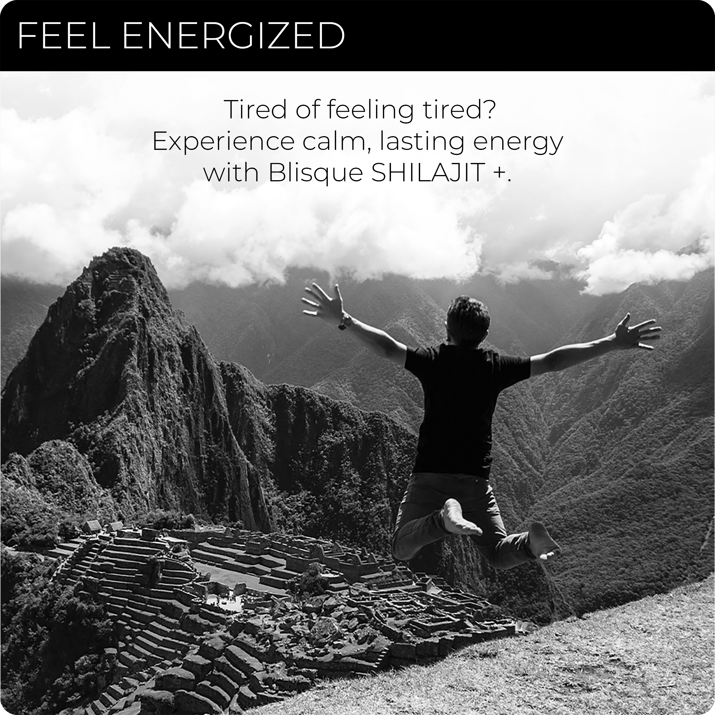 SHILAJIT + ASHWAGANDHA/MORINGA (Copy for test)