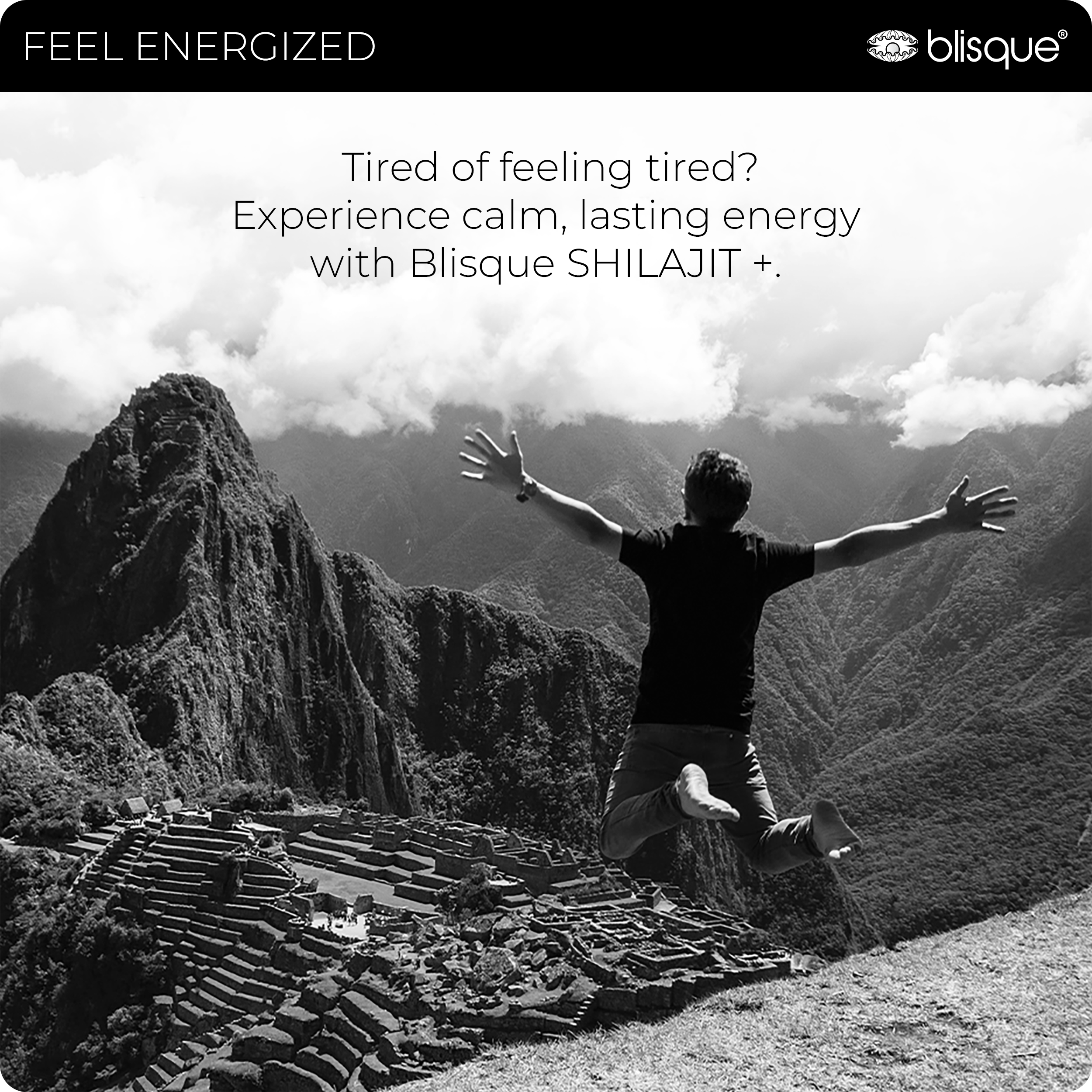 SHILAJIT + ASHWAGANDHA/MORINGA (Copy for test)