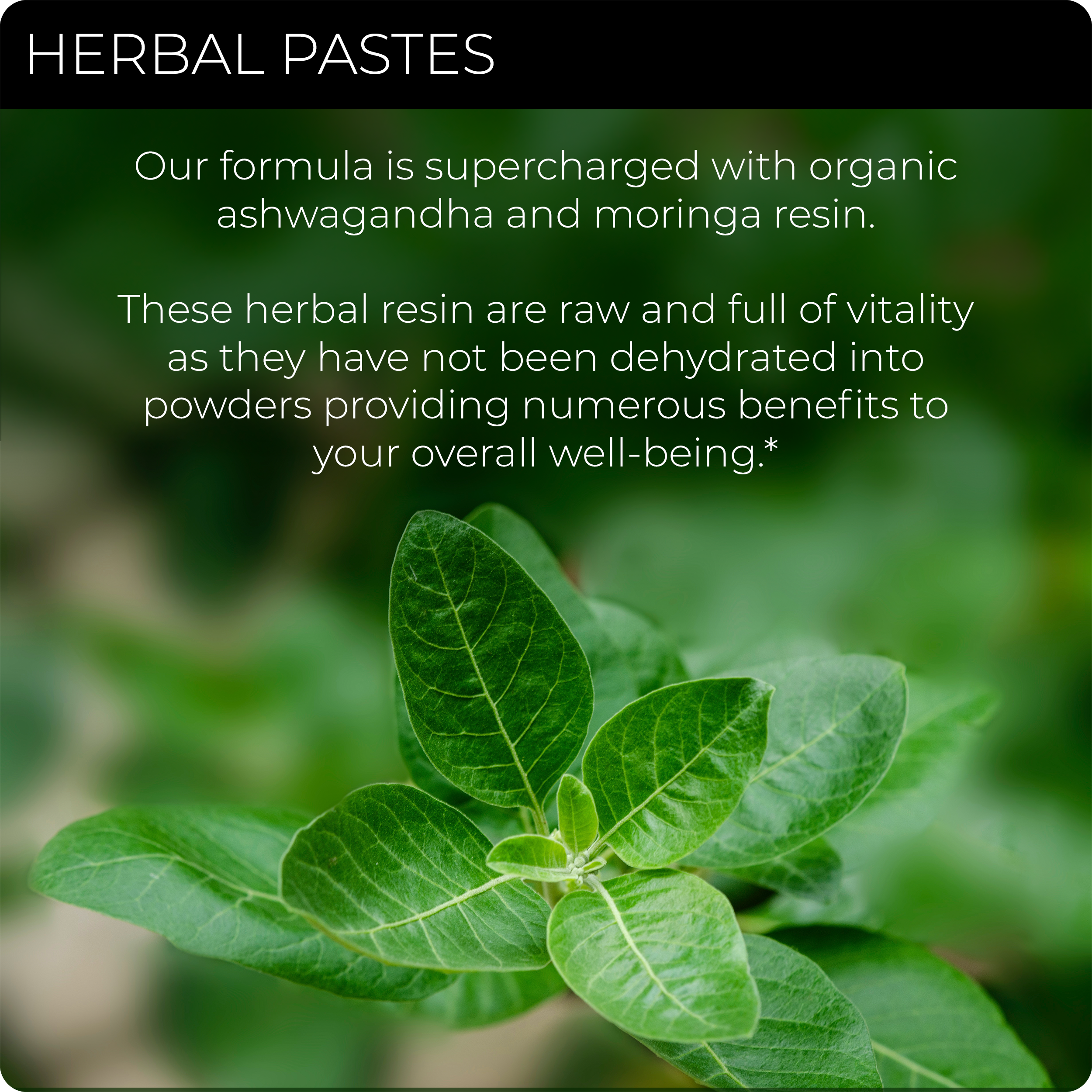 SHILAJIT + ASHWAGANDHA/MORINGA (Copy for test)